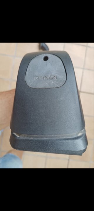 Vaca de coche citroen sara