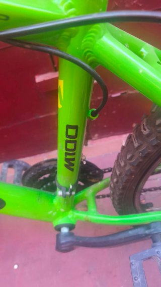 Bicicleta verde DDLW