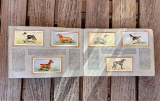 Álbum de cromos antiguo 1930 - RAZAS DE PERROS
