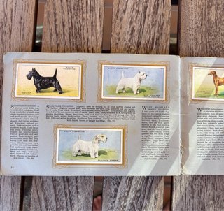 Álbum de cromos antiguo 1930 - RAZAS DE PERROS