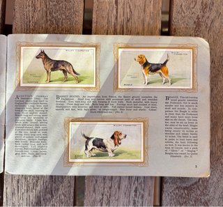 Álbum de cromos antiguo 1930 - RAZAS DE PERROS