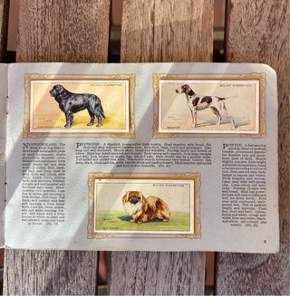 Álbum de cromos antiguo 1930 - RAZAS DE PERROS