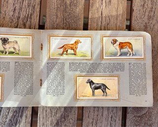 Álbum de cromos antiguo 1930 - RAZAS DE PERROS