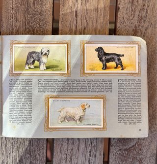 Álbum de cromos antiguo 1930 - RAZAS DE PERROS