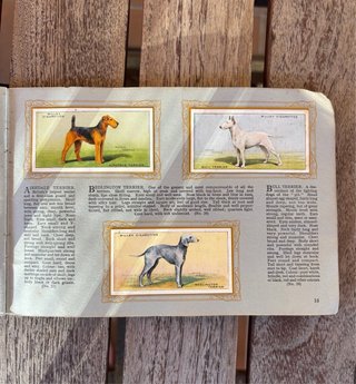 Álbum de cromos antiguo 1930 - RAZAS DE PERROS