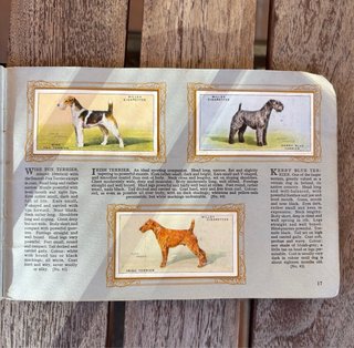 Álbum de cromos antiguo 1930 - RAZAS DE PERROS