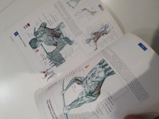 GUÍA DE LOS MOVIMIENTOS DE MUSCULACIÓN. DESCRIP...