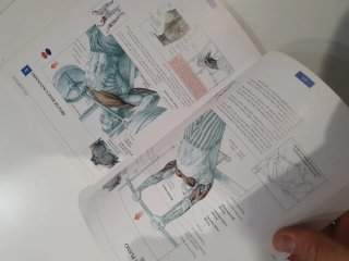 GUÍA DE LOS MOVIMIENTOS DE MUSCULACIÓN. DESCRIP...
