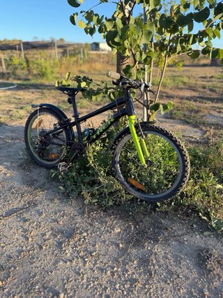 Bicicleta trek niño 20 pulgadas