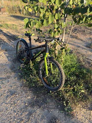 Bicicleta trek niño 20 pulgadas