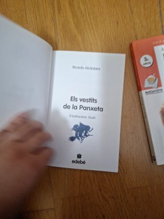 Lot de 2 llibres infantils