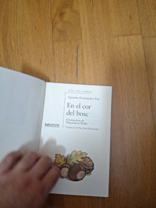 Lot de 2 llibres infantils