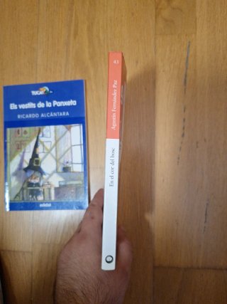 Lot de 2 llibres infantils