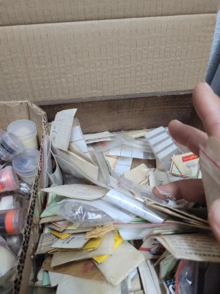 Lote piezas relojería