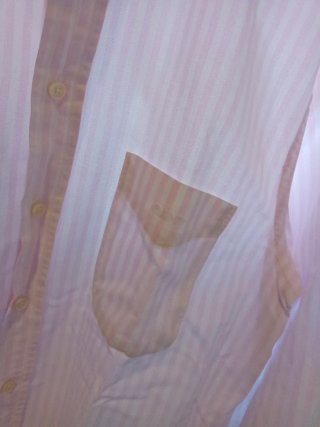 Camisa GANT rosa