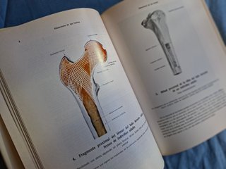 Atlas de anatomía humana Huesos, articulaciones...