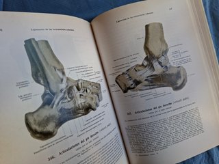 Atlas de anatomía humana Huesos, articulaciones...