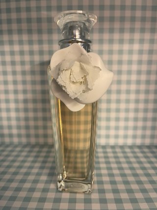 Set di cinque profumi