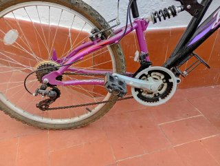 Bicicleta Montaña Elswick Balero