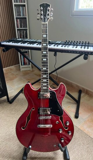 Cambio o vendo Guitarra Sire Larry Carlton H7 335