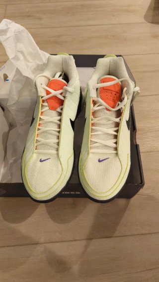 Nike Lebron Witness 9