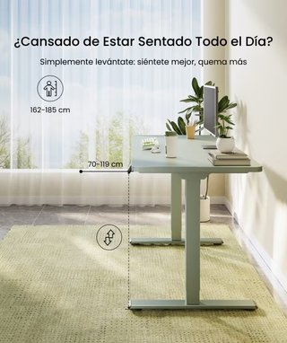 Escritorio Elevable Eléctrico FlexiSpot E1 Pro