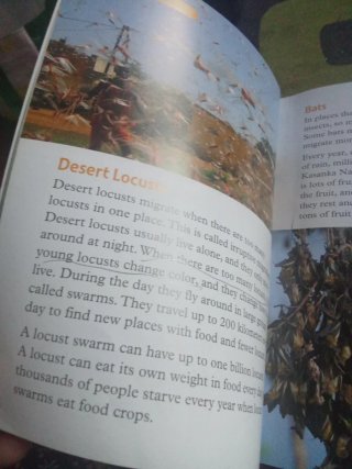Libro great migrations