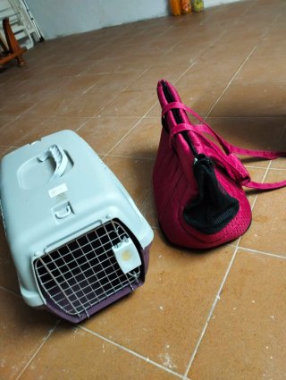 Transportines para mascotas pequeños