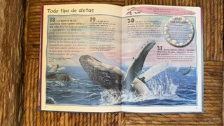 101 cosas que deberías saber sobre los animales...