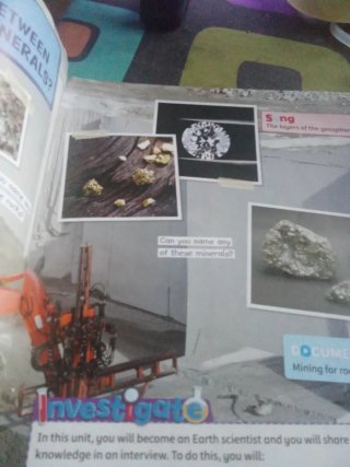 Social sciences 4 primaria
