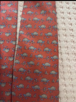 Cravatta Hermès Tartarughe