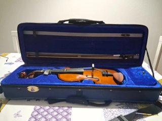 Viola 13 por 14 - Venta o Intercambio