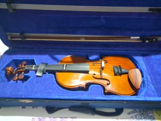 Viola 13 por 14 - Venta o Intercambio