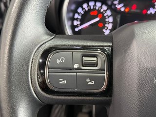 Citroën C3 Aircross BlueHDi 81kW (110CV) S&S C-Series