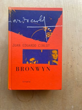 Bronwyn (Libros del tiempo / The time Books) (S...