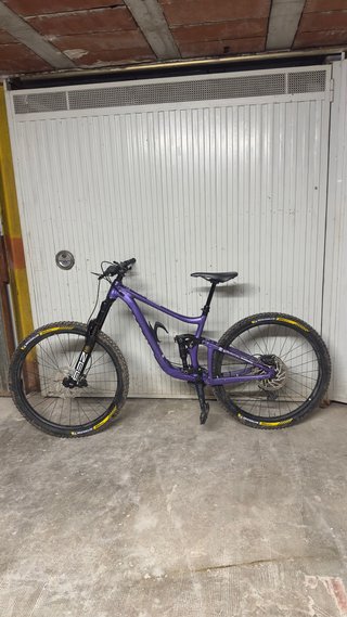 Giant Reign 29 2 2021