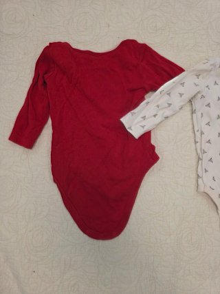 Lote 2 bodies bebé 9-12 meses