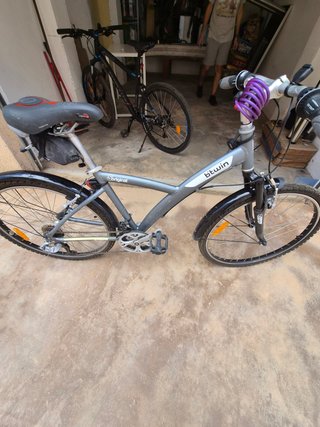 2 Bicicletas de Adulto