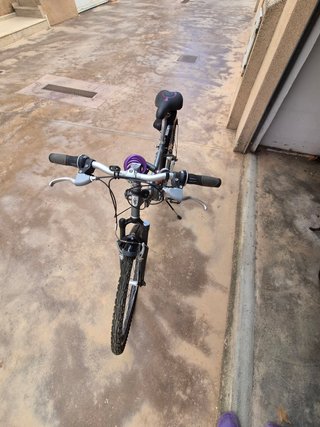 2 Bicicletas de Adulto