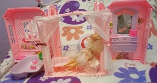 Casa de Barbie Dreamhouse