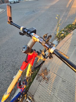 Bicicleta de Montaña