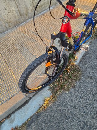 Bicicleta de Montaña