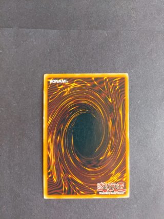 Carta Yugioh Iris the Earth Mother 1Ed Rara
