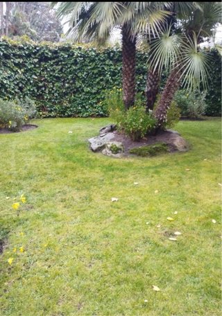 Jardinero económico