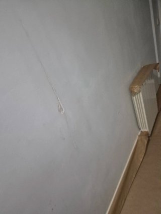 Pintor Reparaciones del hogar   Pintura pladur eco