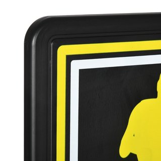 Canasta de Baloncesto para Niños y Adultos de Inte