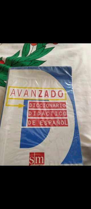 Diccionario Didáctico de Español