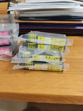 Cartuchos Tinta Epson 29XL 12 en total, por cambio