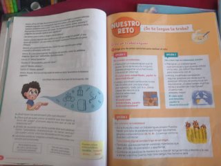 Lengua castellana y literatura 4° primaria Sm