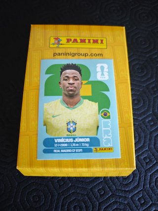 Cromo Vinícius Júnior Panini 2026